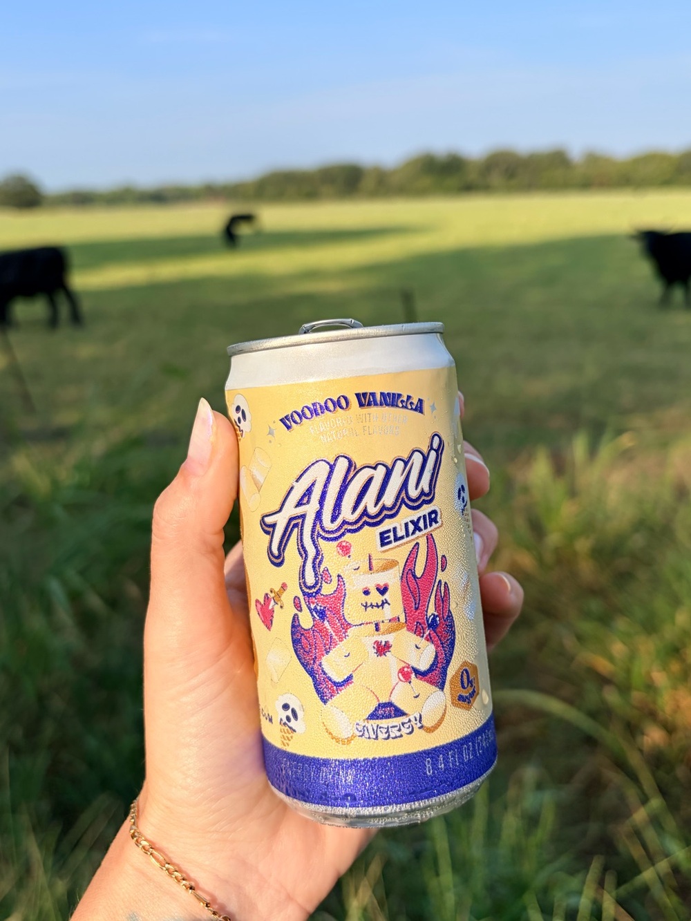 Alani Elixir Voodoo Vanilla Energy Drink!